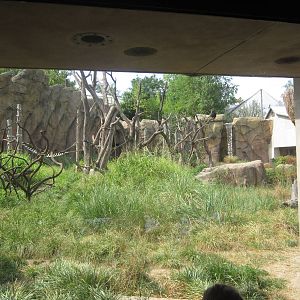 Aug. 2012-Chimpanzee exhibit