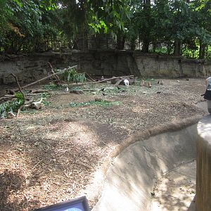 Aug. 2012-Black-tailed Prairie Dog exhibit