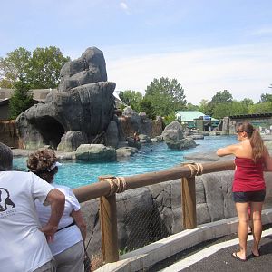 Aug. 2012-Sea Lion Sound