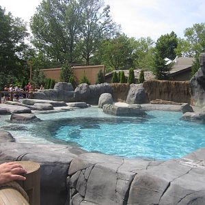 Aug. 2012-Sea Lion Sound