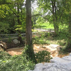 Aug. 2012-Alligator Snapping Turtle exhibit