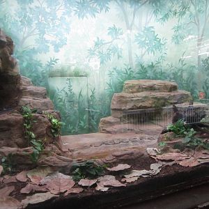 Aug. 2012-Reticulated Python exhibit