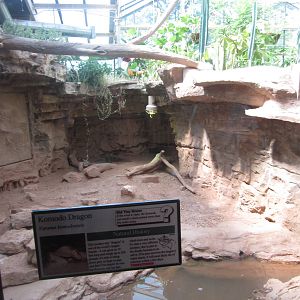 Aug. 2012-Komodo Dragon exhibit