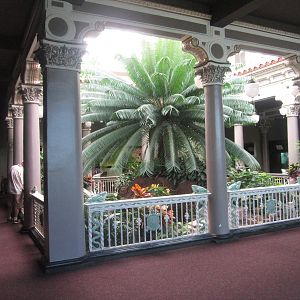 Aug. 2012-Pig-nosed Turtle exhibit viewing