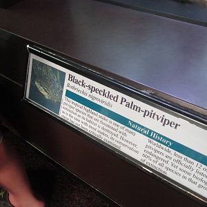 Aug. 2012-Pit-viper sign