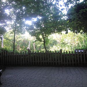 Aug. 2012-1 of 4 Viewings of the Female Indian Elephant exhibit