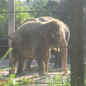 Aug. 2012-Sabu sniffing Jati