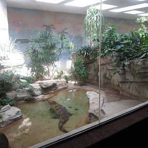 Aug. 2012-First False Gharial exhibit