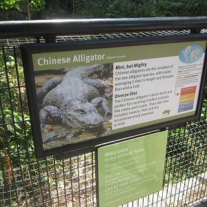 Aug. 2012-Alligator sign