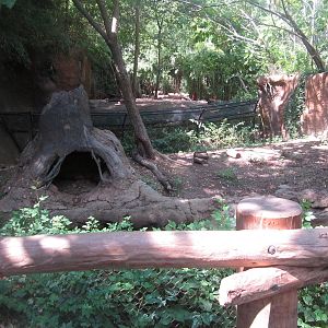 Aug. 2012-Bush Dog exhibit