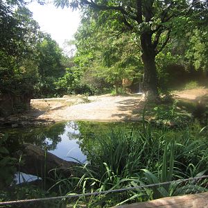 Aug. 2012-Eastern Black Rhinoceros/Sacred Ibis exhibit