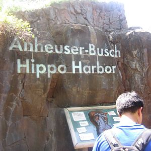 Aug. 2012-Hippo Harbor Entrance Sign