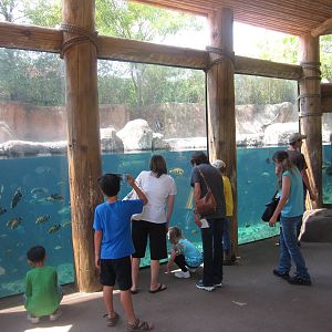 Aug. 2012-Hippo Harbor