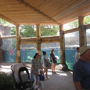 Aug. 2012-Hippo Harbor