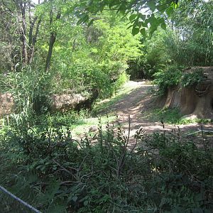 Aug. 2012-Spotted Hyena exhibit