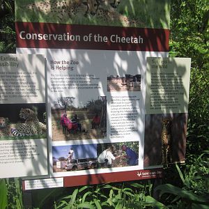 Aug. 2012-Cheetah sign