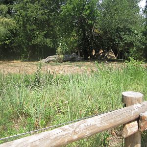 Aug. 2012-Cheetah exhibit