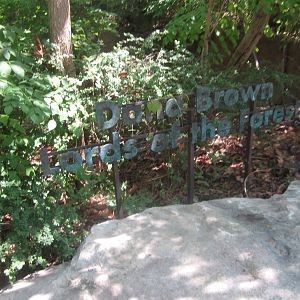 Aug. 2012-Lords of the Forest Entrance Sign
