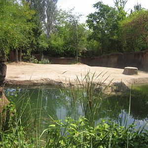 Aug. 2012-Raja's yard