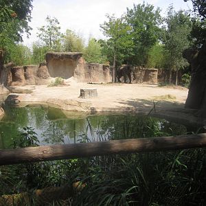 Aug. 2012-Raja's yard