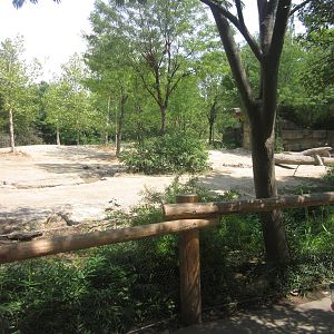 Aug. 2012-Female Asian Elephant yard