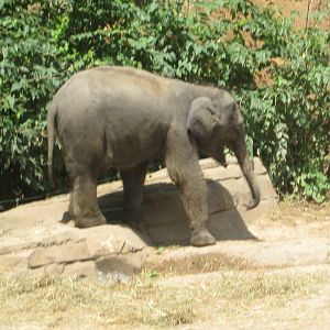 Aug. 2012-Baby Kenzi