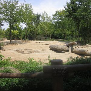 Aug. 2012-Female Asian Elephant yard