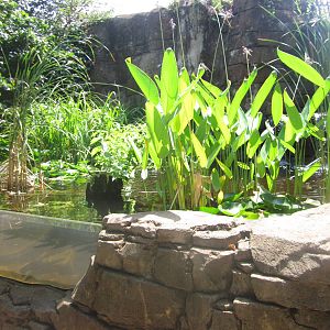 Aug. 2012-Freshwater Fish Pond