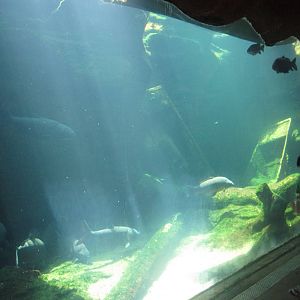 Aug. 2012-Missouri River