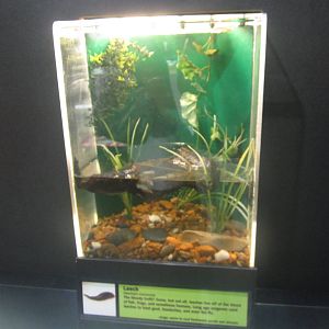 Aug. 2012-Leach exhibit