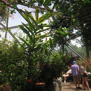 Aug. 2012-Butterfly Wing