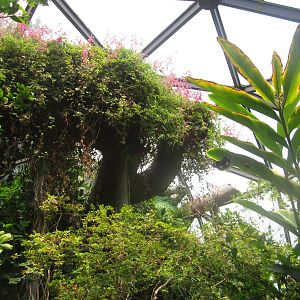 Aug. 2012-Butterfly Wing