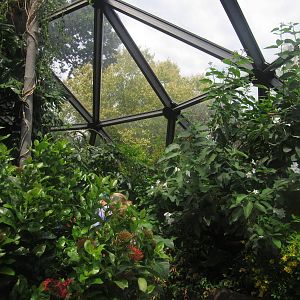 Aug. 2012-Butterfly Wing