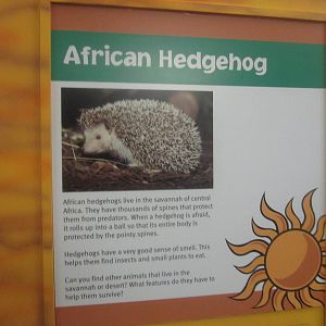 Aug. 2012-Hedgehog sign
