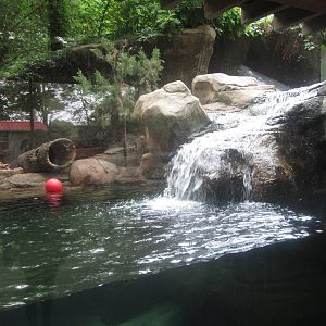 Aug. 2012-North American River Otter exhibit