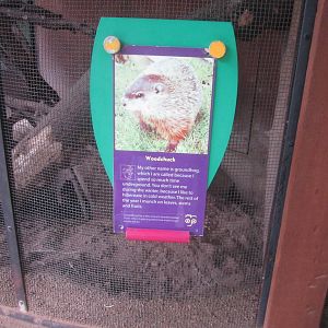 Aug. 2012-Woodchuck sign