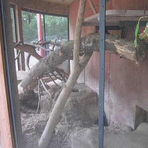 Aug. 2012-Woodchuck exhibit