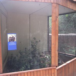 Aug. 2012-Boa Constrictor exhibit