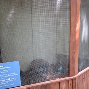 Aug. 2012-Virginia Opossum exhibit
