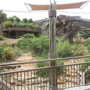 Aug. 2012-Western Lowland Gorilla exhibit