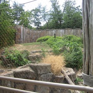 Aug. 2012-Western Lowland Gorilla exhibit
