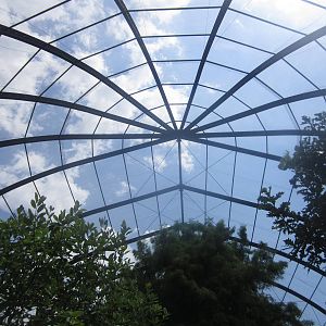 Aug. 2012-1904 World's Fair Flight Cage Cypress  Swamp