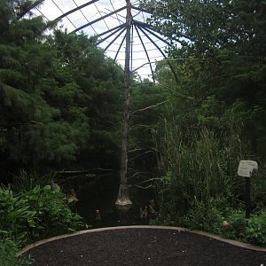 Aug. 2012-1904 World's Fair Flight Cage Cypress Swmp