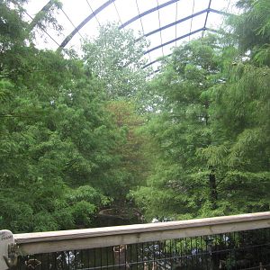 Aug. 2012-1904 World's Fair Flight Cage Cypress  Swamp