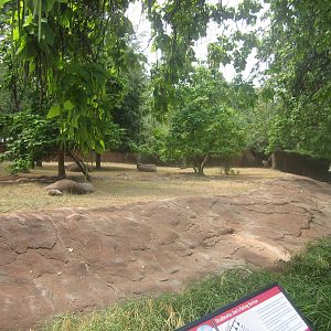 Aug. 2012-Lesser Kudu/Saddle-billed Stork exhibit
