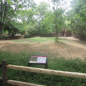 Aug. 2012-Mountain Bongo exhibit
