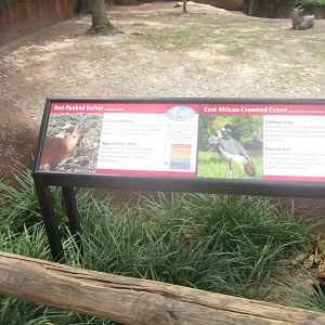 Aug. 2012-Crane/Duiker Signs