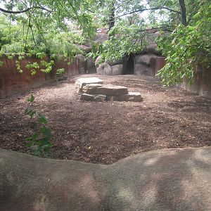 Aug. 2012-Visayan Warty Pig exhibit