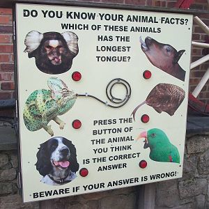 Question board, 3rd August 2012