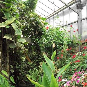 Tropical House, 3rd August 2012